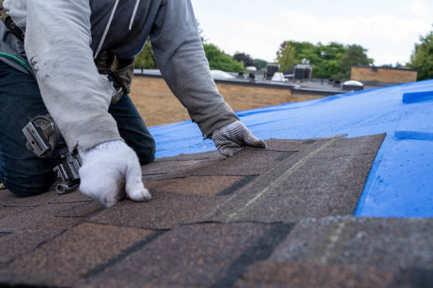 Best Chimney Flashing Repair  in Lake Park, FL